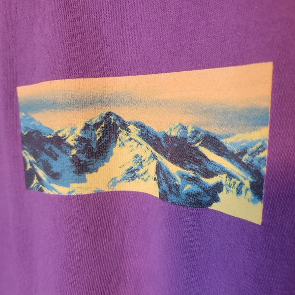 Urban Outfitters V1 Landscape Purple Relaxed Fit Men's Mountains Graphic Tee - Picture 3 of 9